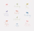 Animals mini floral graphic signs color