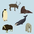 Set of animals of the north