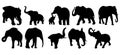 Set of animals. Vector illustration. Black elephants  on a white background. Royalty Free Stock Photo