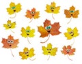 Set of animated maple leaves