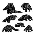 Set of Anteater Logo Design Vector. Silhouette of Anteater. Vector illustration