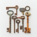 A set of antique skeleton keys displayed against a white background Royalty Free Stock Photo