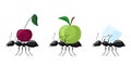 Set ants carrying different fruits isolated on white background. Colony of ants carrying apple, cherry, sugar and walking to the Royalty Free Stock Photo