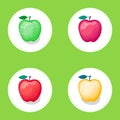 Set of apples of different colors. Vector illustration on round white backing and green background.