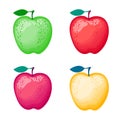Set of apples of different colors. Vector illustration isolated on white background.