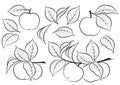 Set of Apples Pictograms