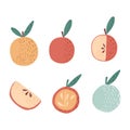 Set apples on white background. Apple whole, red, yellow, green, with twig and leaves, slice, half hand drawn in doodle style Royalty Free Stock Photo