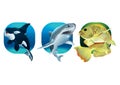 set of aquatic animals. Vector illustration decorative design Royalty Free Stock Photo