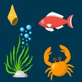 Set aquatic funny sea animals underwater creatures cartoon characters shell aquarium sealife vector illustration.