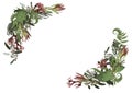 Set of arc, wreath. Greenery and leaves, branches, brunia, blooming eucalyptus, leucadendron, gaultheria, salal, jatropha. Floral