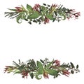 Set of arc, wreath. Greenery and leaves, branches, brunia, blooming eucalyptus, leucadendron, gaultheria, salal, jatropha. Floral