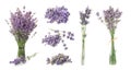 Set with aromatic fresh lavender