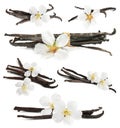 Set with aromatic vanilla pods and flowers on background