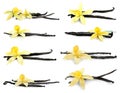 Set with aromatic vanilla pods and flowers on background