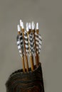 Set of arrows in a medieval quiver Royalty Free Stock Photo
