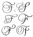 Set of art calligraphy letter F with flourish of vintage decorative whorls. Vector illustration EPS10 Royalty Free Stock Photo