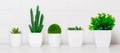 Set artificial flowers, succulents, grass and greenery. Royalty Free Stock Photo