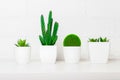 Set artificial flowers, succulents, grass and greenery. Royalty Free Stock Photo