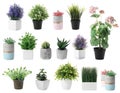 Set of artificial plants in flower pots isolated Royalty Free Stock Photo