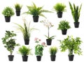 Set of artificial plants in flower pots isolated Royalty Free Stock Photo