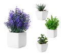 Set of artificial plants in flower pots isolated Royalty Free Stock Photo