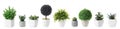 Set of artificial plants in flower pots isolated. Banner design Royalty Free Stock Photo