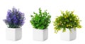 Set of artificial plants in flower pots isolated. Banner design Royalty Free Stock Photo