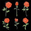 Set Artwork Vector Rose Illustration Royalty Free Stock Photo