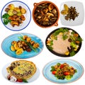 Set of assorted dishes with mushrooms Royalty Free Stock Photo