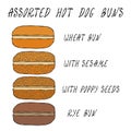 Set of Assorted Hot Dog Buns. Wheat Bun with Sesame, Poppy Seeds, Rye Bun. For Fast Food, Restaurant or Bar Menu. Hand