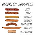 Set of Assorted Sausages For Fast Food, Restaurant or Bar Menu. Hand Drawn High Quality Clean Vector Realistic Royalty Free Stock Photo