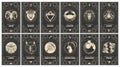 Set of 12 astrology cards with zodiac signs, horoscope, tarot, fortune teller. Vintage engraving, mystical illustration