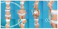 Set of attractive young woman with slim body in underwear on color background Royalty Free Stock Photo