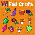 set of Autum or Fall Crops