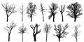 Set of autumn bare trees, silhouettes. Vector illustration