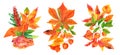 A set of autumn bouquets, watercolor fall floral arrangements for greeting cards, posters, or wedding invitations