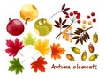 Set of Autumn elements with autumn leaves, apple, berries and acorns