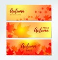 Set of Autumn horizontal banners with colorful maple leaves. Place for text. Vector illustration Royalty Free Stock Photo