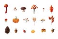 Set of autumn illustration element collection. Some elements illustration on white background.
