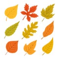 Set of autumn leaves