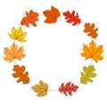 Set of autumn leaves in the form of a circle. Vector illustration isolated on white background Royalty Free Stock Photo