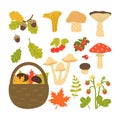 Set of autumn leaves, mushrooms and berries isolated on white background. Vector illustration in cartoon style Royalty Free Stock Photo