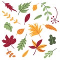 Set of autumn leaves and twigs in cartoon flat doodle style Royalty Free Stock Photo