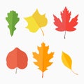 Set of autumn leaves on white background