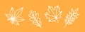 set of autumn leaves, white outline oak, maple, chestnut, rowan leaf, set of fall decorative drawing clip-art, doodle Royalty Free Stock Photo