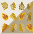 Set of autumn leaves. Yellow, orange, red leaves on the trees. Maple, birch, poplar, oak, aspen. All objects are isolated and can Royalty Free Stock Photo