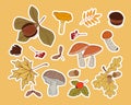 Set of autumn mushroom and leaves stickers