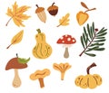 Set of autumn nature elements. Forest objects: Leaves, mushrooms, acorns, pumpkins. Fresh farm. Harvest elements. Vector Royalty Free Stock Photo