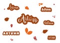 Set of Autumn handwritten lettering stickers with decoration. Vector illustration. Royalty Free Stock Photo