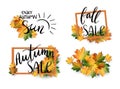 Set of autumn SALE posters in frame design.